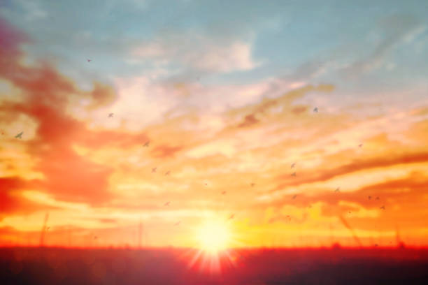 istock Summer blue sky soft clear Cloudy background. Puffy Cloud move by windy on beach concept Felling good-tempered relaxing  sunset wallpaper, sunrise journey to travel in tropical fog shiny mist style. 1164254050