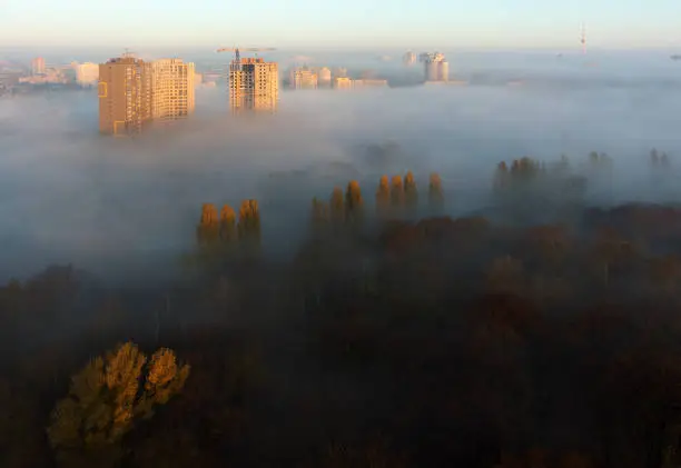 Photo of The sun's rays illuminate the morning city through the dense autumn fog