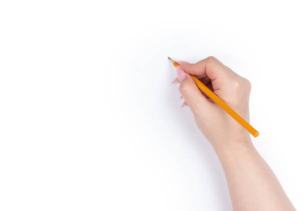 female hand holding pencil, isolated on white - human hand pencil women sketching imagens e fotografias de stock