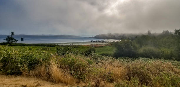 istock Overcast morning at Anacortes ferry 1164260063