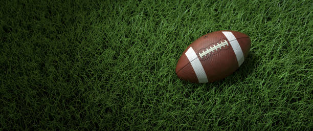 A close-up of the american ball on the field A close-up of the american ball on the field - 3D Illustration american football ball stock pictures, royalty-free photos & images