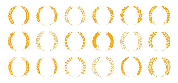Wheat and rye ears. Wreath spikes and stalks elements for organic food logo and emblem. Vector bread and ear isolated set Wheat and rye ears. Wreath spikes and stalks elements for organic food logo and nature emblem. Vector harvest bread and ear isolated set insignia healthy eating gold nature stock illustrations