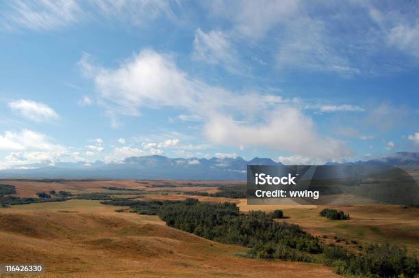 Paesaggio Estivo - Fotografie stock e altre immagini di Ambientazione esterna - Ambientazione esterna, Campo, Catena di montagne