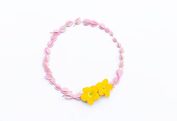 istock Pink and yellow arrange in round frame 1164264618
