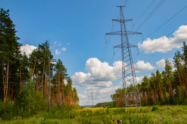 istock Tower high-voltage power transmission lines against the cloudy sky. 1164267010