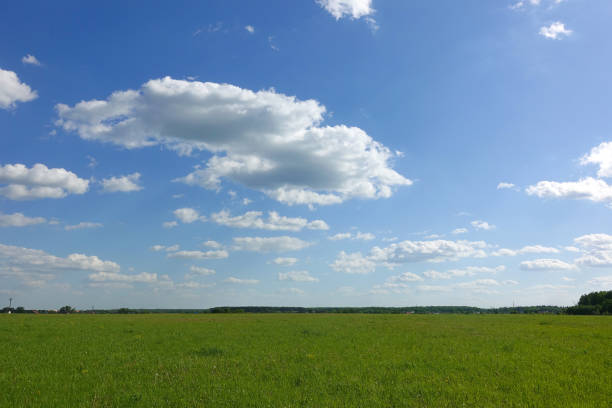 istock Beautiful landscape. Green grass field and blue sky with white clouds. 1164267668