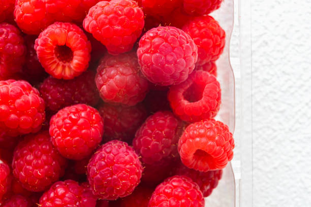 Fresh Ripe Raspberries in Plastic Container Top View on White