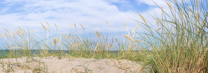 dunes panorama baltic sea