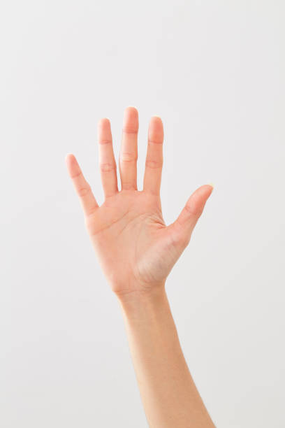 hand isolated on white.Voting hand. Mock up. Copy space. Template. Blank.