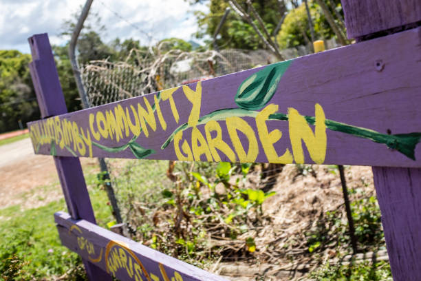 mullumbimby community garden, mullumbimby, nuovo galles del sud, australia - 698 foto e immagini stock