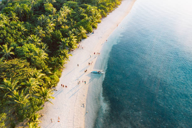 istock Top down view of tropical landscape 1164275390