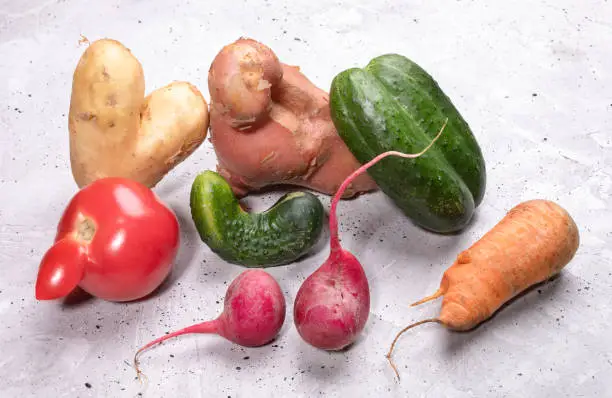 Pile of ripe ugly vegetables: potatoes, tomato, cucumbers, carrot and radishes on concrete background. Waste zero concept.