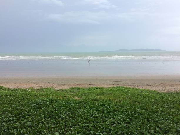 istock Nature beautiful landscape beach sand sea view background. 1164281294