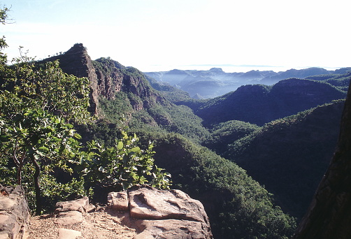 Deep, undulating forested valleys. Pachmarhi, Madhya Pradesh, India.