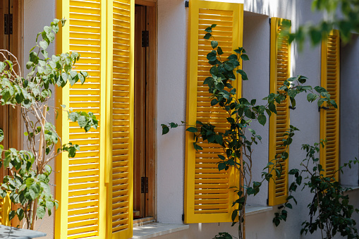 Old yellow wooden windows shutters of mediterranean house