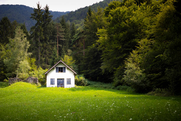 Green mountain summer landscape with an isolated white cabin or barn across the meadow. Solitude and tranquility background or wallpaper with right copy space.