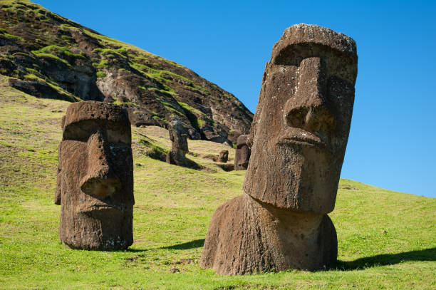 Morning Raraku, Påskön Rano Raraku är en slocknad vulkankrater på Påskön. Från bergsidan på denna vulkan höggs de stora statyerna, Moai, som finns runt om på ön. moai statue rapa nui stock pictures, royalty-free photos & images