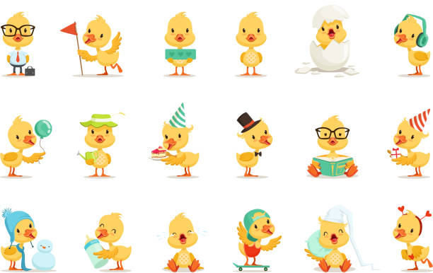 Little Yellow Duck Chick Different Emotions And Situations Set Of Cute Emoji Illustrations Little Yellow Duck Chick Different Emotions And Situations Set Of Cute Emoji Illustrations. Humanized Wild Baby Bird Activities Cartoon Vector Stickers. duck with hat stock illustrations