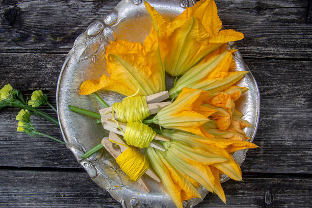 istock fresh zucchini flowers for stuffing 1164305063