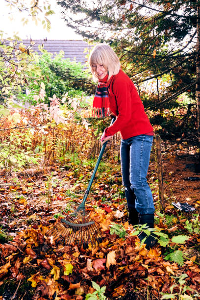 istock Woman raking autumn leaves 1164305108