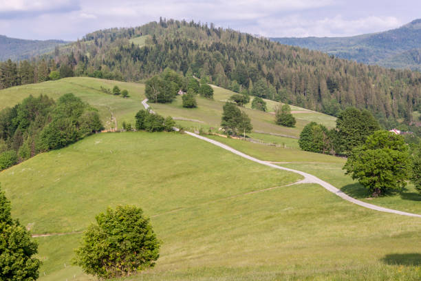 istock Polish mountains - Beskydy Mountains 1164305453
