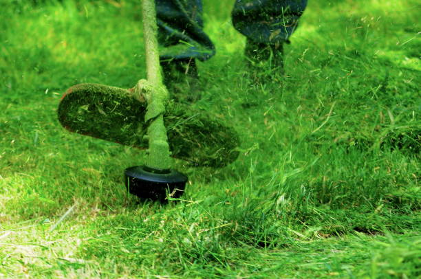 cortar la hierba weed whacker - hedge clippers weed trimmer grass lawn fotografías e imágenes de stock