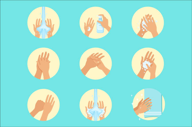 illustrations, cliparts, dessins animés et icônes de hands washing sequence instruction, infographic hygiene poster for proper hand wash procedures (en) - enseigne restaurant