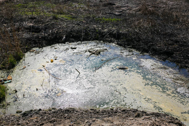 istock Sewage green water with mold outdoors. Environment pollution. Ecological catastrophe. Factories on background. 1164307791