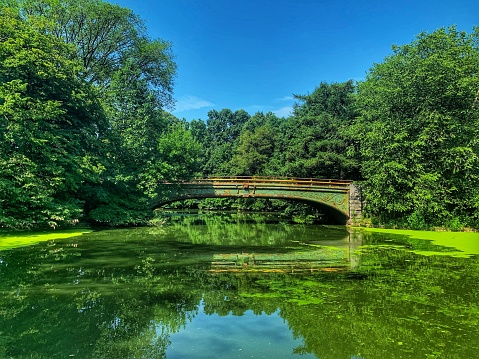 Metal bridge over a green lake in Prospect Park in New York City