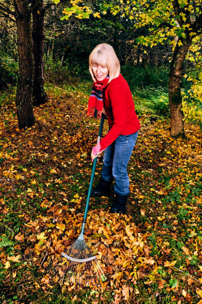 istock Woman raking autumn leaves 1164312230