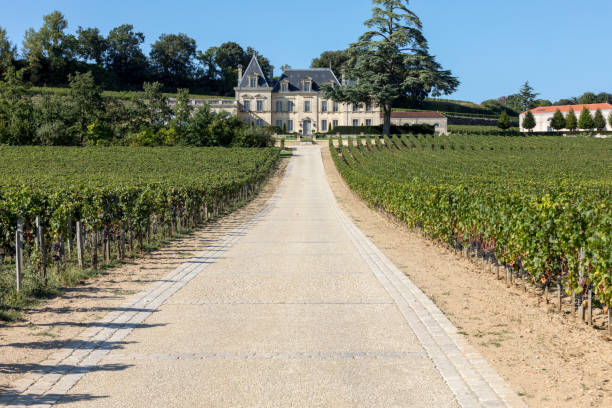 Vineyard of Chateau Fonplegade - name (literally fountain of plenty) was derived from the historic 13th century stone fountain that graces the estate's vineyard. St Emilion, France Saint Emilion, France - September 11, 2018: Vineyard of Chateau Fonplegade - name (literally fountain of plenty) was derived from the historic 13th century stone fountain that graces the estate's vineyard. St Emilion, France saint emilion photos stock pictures, royalty-free photos & images
