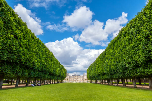 France. Summer Paris. Alley of the Luxembourg Garden overlooking the palace. Clouds