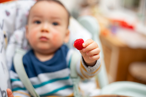 Close-up of a baby boys hand holding a raspberry with his arm outstretched towards the camera.