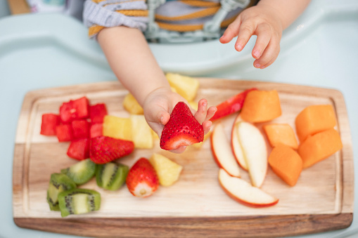 High angle view of a platter of fruit salad on the tray of a high chair. The unrecognisable baby boy is holding a strawberry, inspecting the fruit.