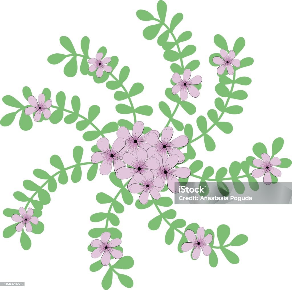 Ilustración de Marco Floral Espiral De Hojas Y Flores De Color Lila Ilustración Vectorial Para El Diseño De Carteles Tarjetas Invitaciones Y Banners y más Vectores Libres de Derechos de Amor - Ilustración de Marco Floral Espiral De Hojas Y Flores De Color Lila Ilustración Vectorial Para El Diseño De Carteles Tarjetas Invitaciones Y Banners y más Vectores Libres de Derechos de Amor -