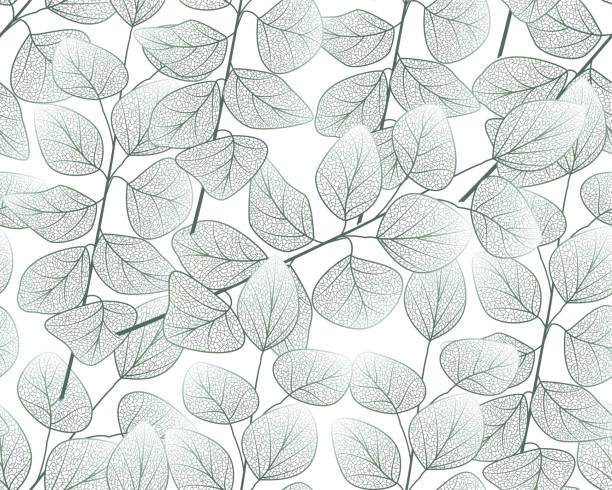 ilustrações de stock, clip art, desenhos animados e ícones de seamless pattern with eucalyptus leaves. - 4404