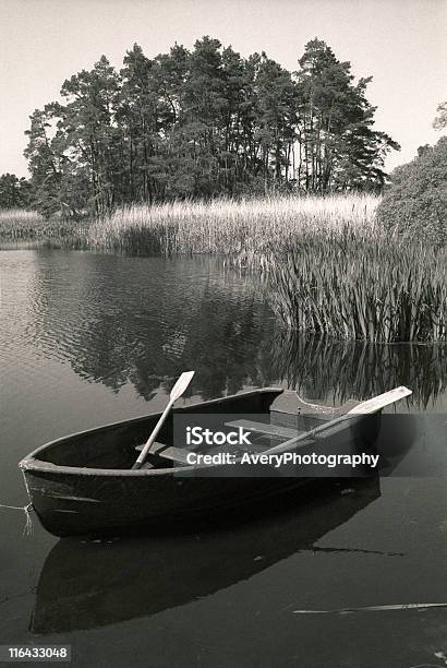 Barco De Remos Foto de stock y más banco de imágenes de Barco de remos - Barco de remos, Blanco y negro, Agua