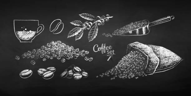 Chalk drawn set of illustrations of coffee beans Black and white chalk drawn set of illustrations of coffee beans, sack and leaves on chalkboard background. caffeine illustrations stock illustrations