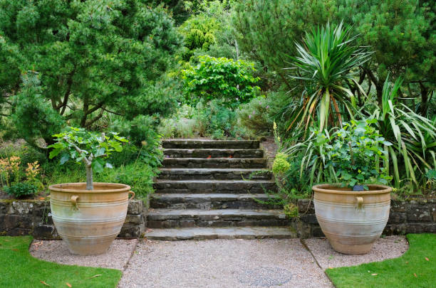 Secret garden
