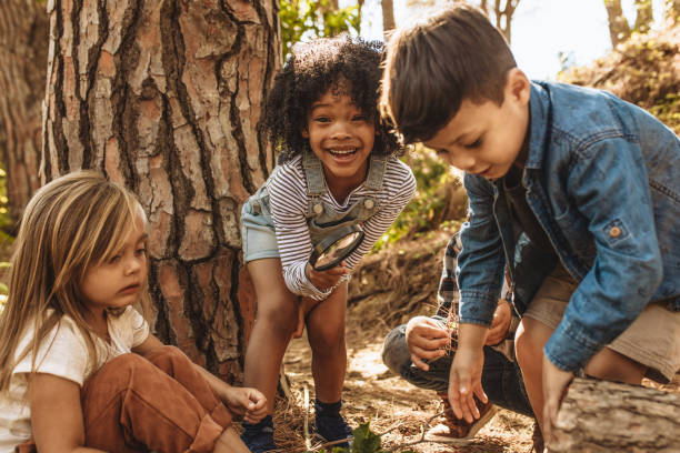 森の中で虫眼鏡を持つかわいい子供たち - children only adventure exploration education ストックフォトと画像