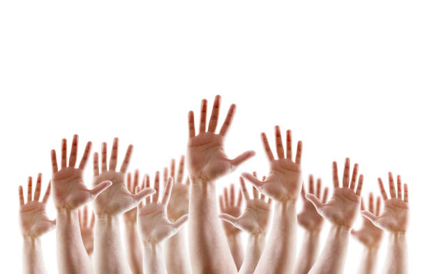 istock Group of raised hands with open palms isolated on white background 1164345929