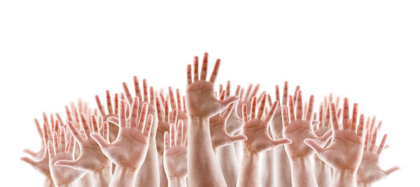 istock Group of raised hands with open palms isolated on white background 1164345948