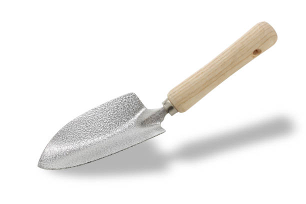 istock A garden trowel/spade isolated on white with shadow and clipping path 1164346069