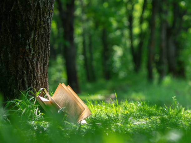 istock An open book lying in the Park near the tree. Layout with copyspace. Nature background 1164347169