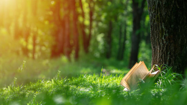 istock An open book lying in the Park near the tree. Layout with copyspace. Nature background 1164347180