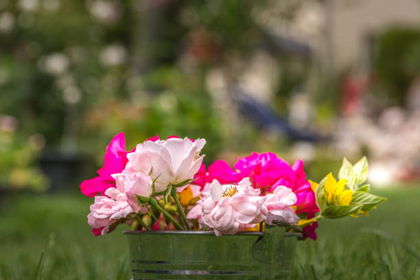 A bucket full of flowers in the garden