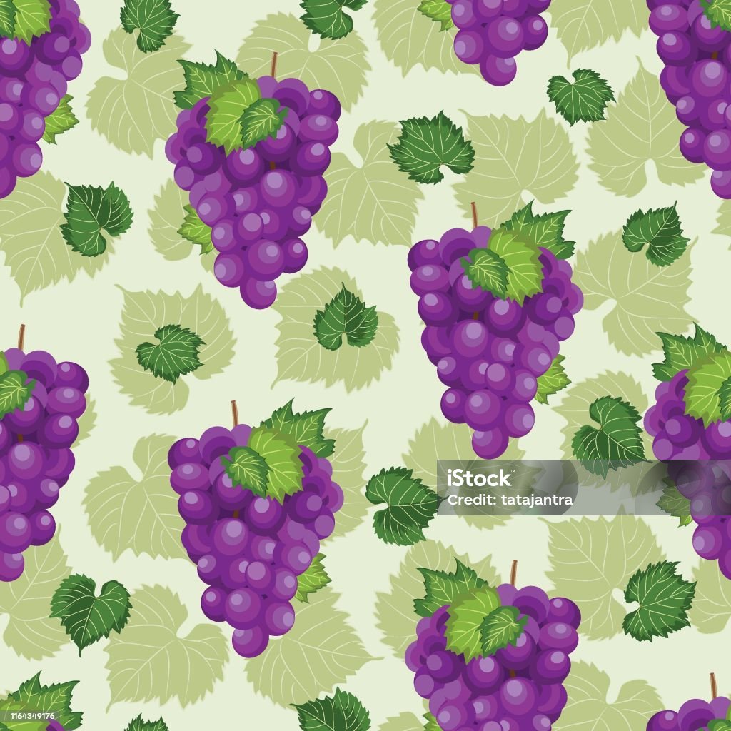 Grape Bunch Seamless Pattern On Green Background With Leaves And Sketch  Fresh Organic Food Purple Grapes Pattern Background Fruit Vector  Illustration Stock Illustration - Download Image Now - iStock