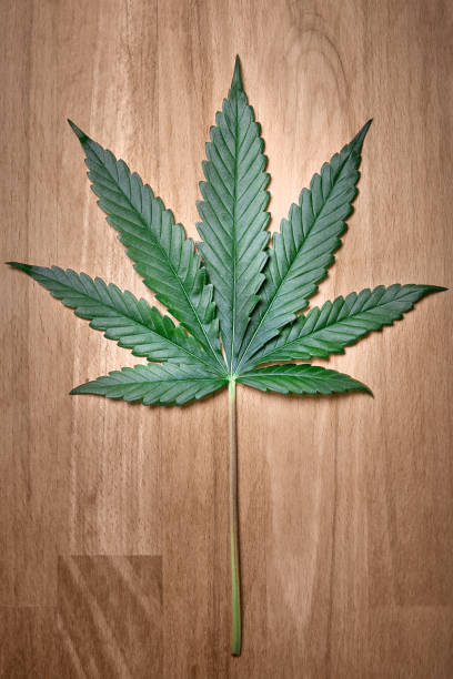 istock cannabis leaf on wooden background with copy space 1164350740