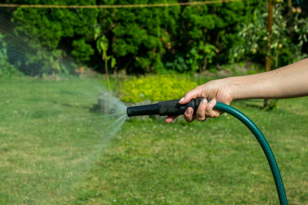 istock Water spraying from a garden hose in woman's hand. 1164351500