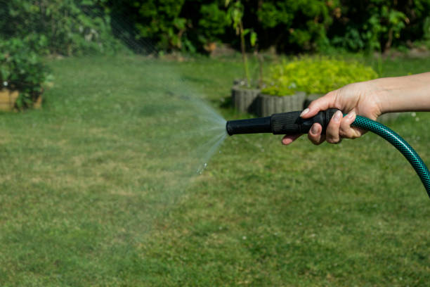 istock Water spraying from a garden hose in woman's hand. 1164351886